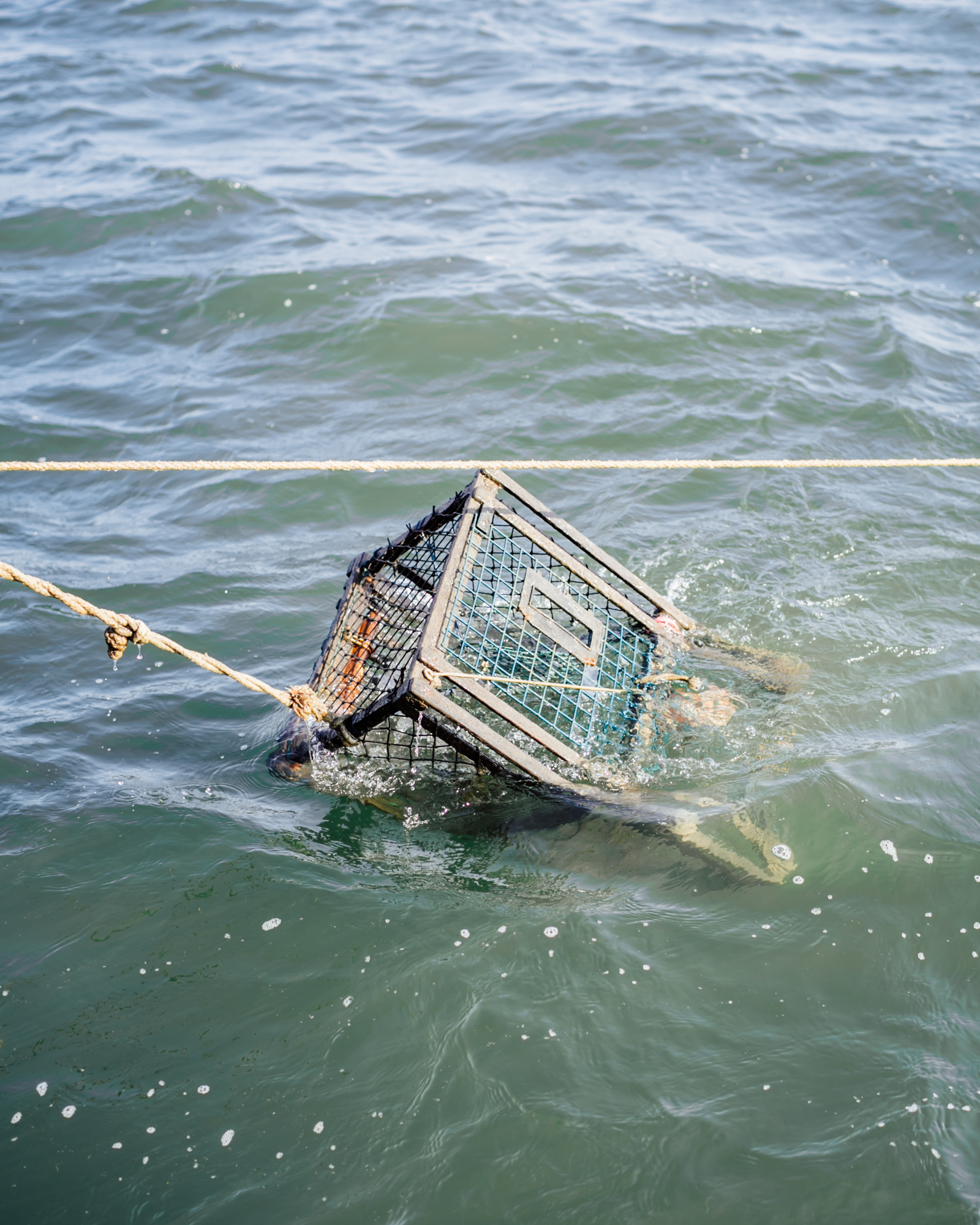 lobster fishing tour portland maine