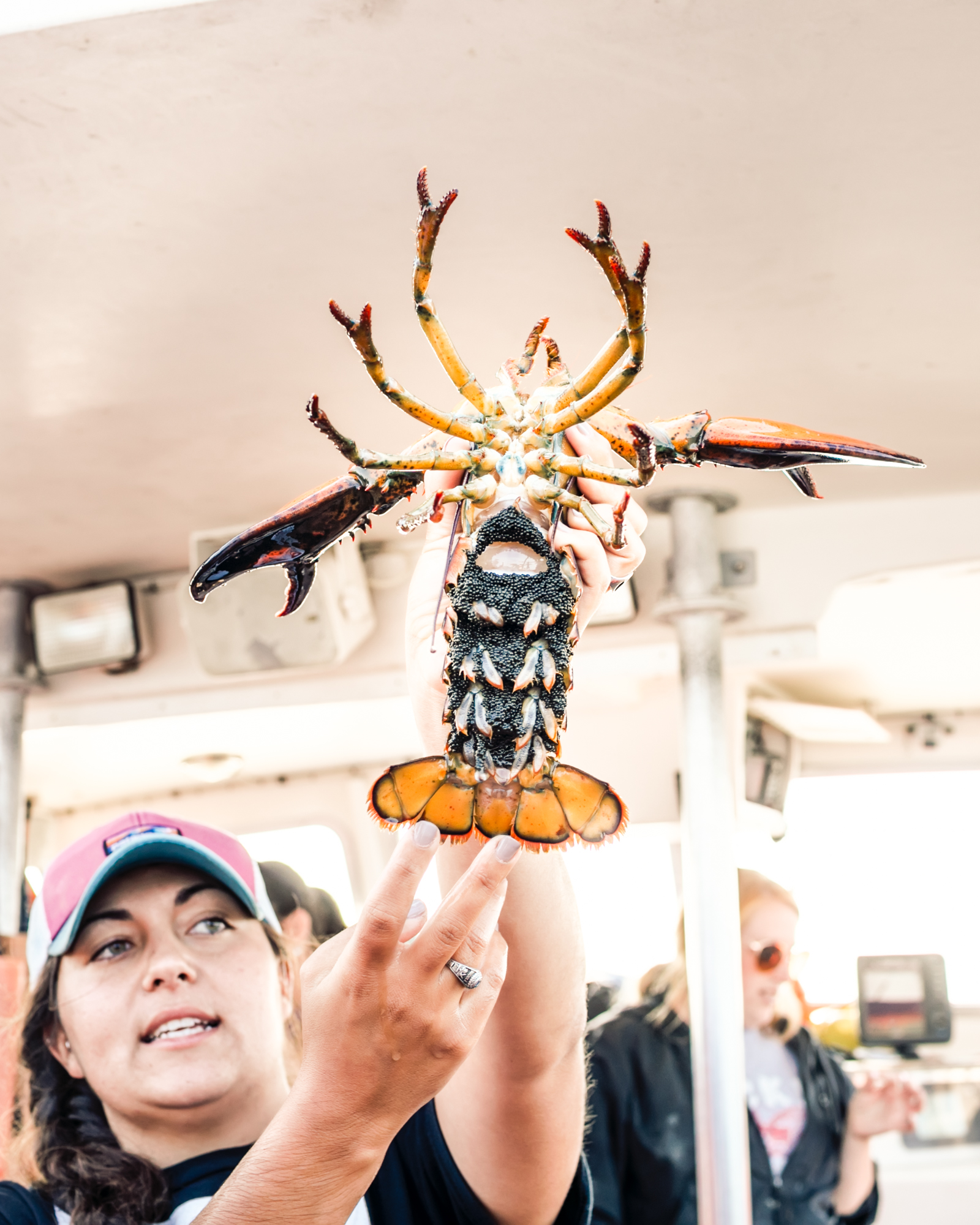 Do this!: Lobster fishing in Portland, Maine with Lucky Catch Cruises.