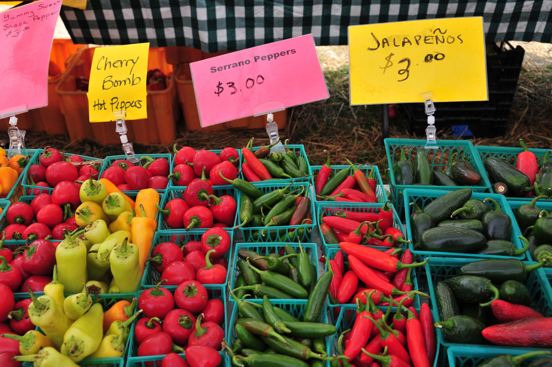 Chicago Green City Market