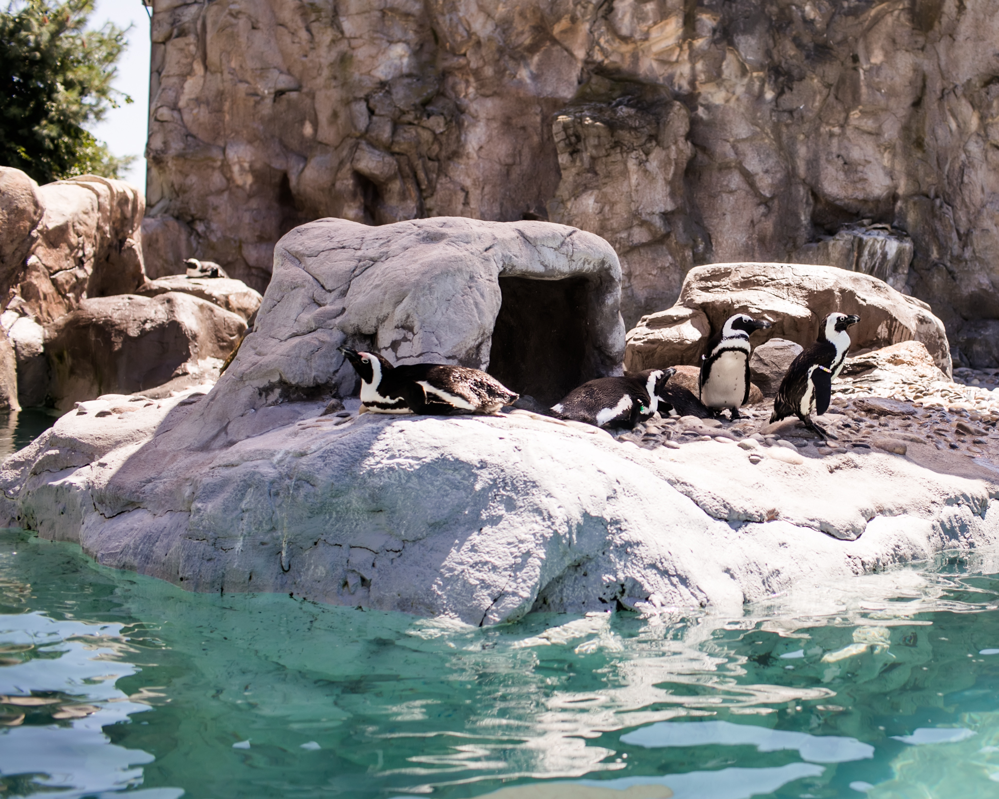 Mystic CT aquarium